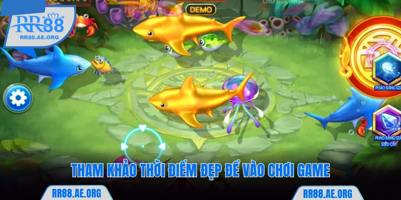 Tham khảo thời điểm đẹp để vào chơi game RR88
